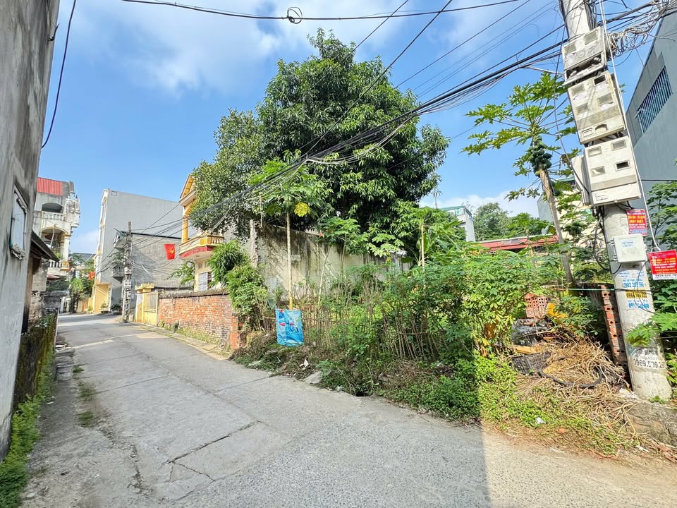 Đất khu 3 Vân Phú 85m² giá 3 tỷ - Sổ hồng đầy đủ, vị trí đắc địa!