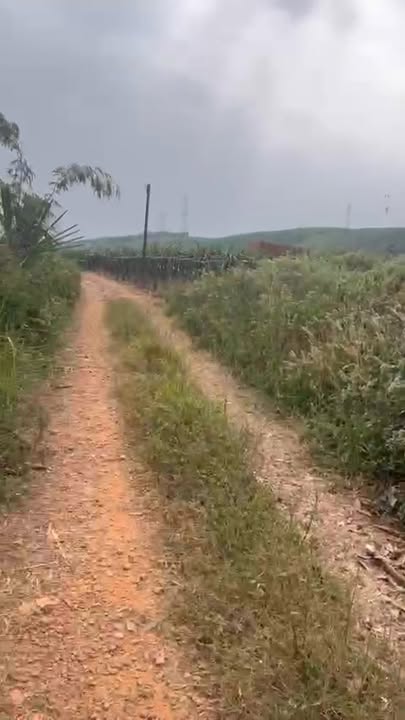 Đất nền chính chủ tại Hàm Tân 1063m² giá 600 triệu - Vị trí đắc địa gần cao tốc Sông Phan!