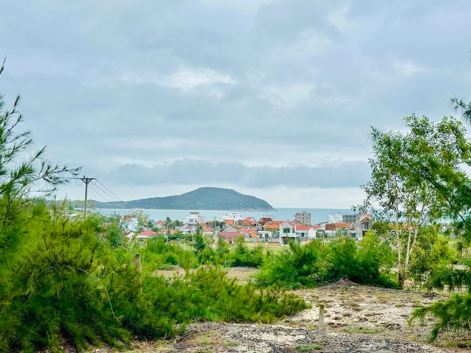 Đất nền Cù Lao Mái Nhà 6000m² giá chỉ từ 400 triệu - Đầu tư sinh lời hấp dẫn!