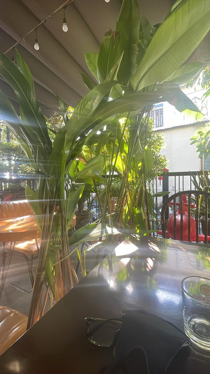 Đất nền kiệt Trần Ngọc Sương, Đà Nẵng 120m² - Giá chỉ 4 tỷ, ô tô vào tận nơi!