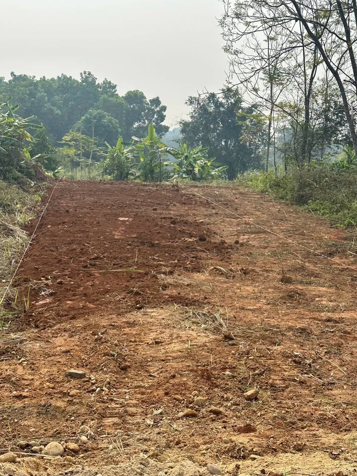 Đất nền mặt đường nhựa xã Phú Khê 150m² giá 1.1 tỷ - Cơ hội đầu tư hấp dẫn!