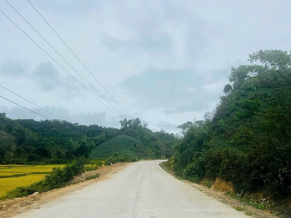 Đất nền Măng Đen 12.434m² giá 2,5 tỷ - Tiềm năng nghỉ dưỡng lớn!