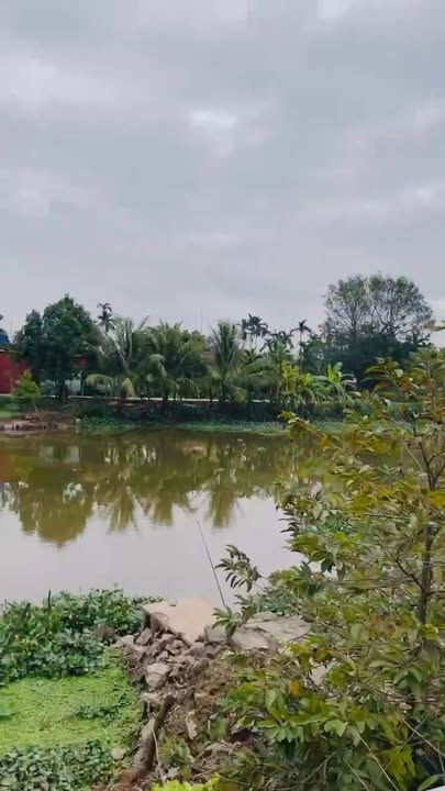 Đất thổ cư 481m² tại Định Hóa, Kim Sơn - Giá 1.12 tỷ, chính chủ bán gấp!