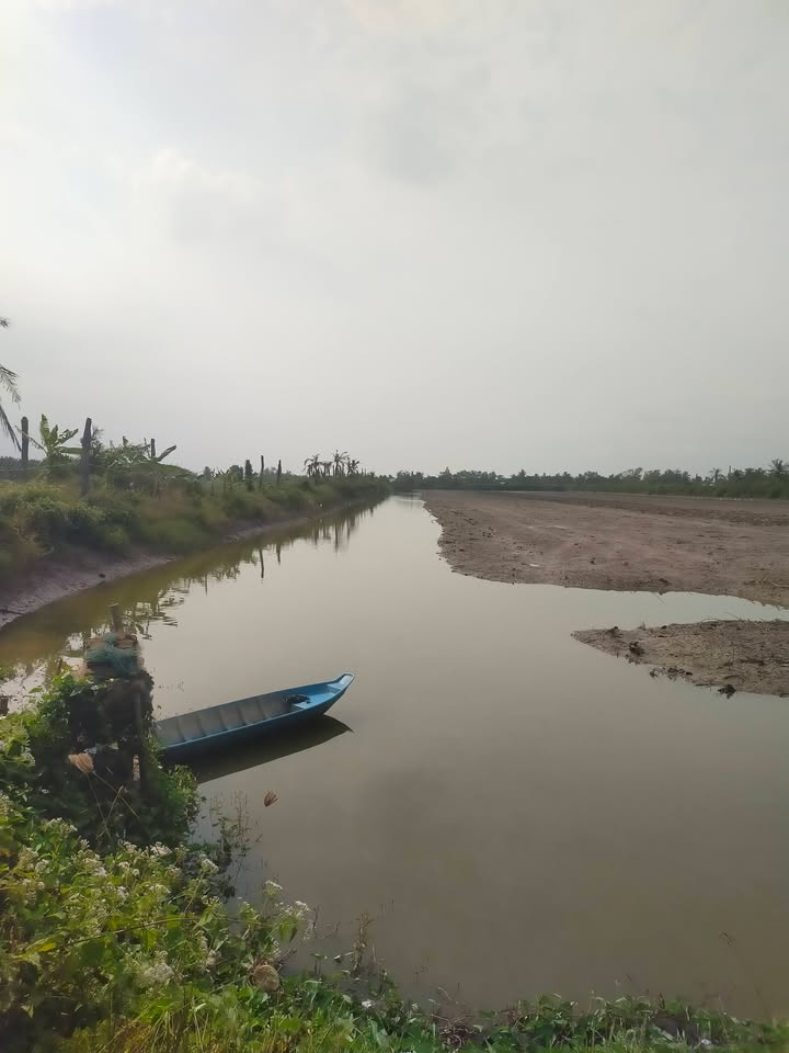 Farm cho thuê tại Xã Long An, Huyện Long Hồ, 770000m² giá 160 triệu/năm - Tiềm năng nuôi tôm càng xanh!
