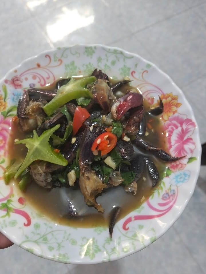 Đất nền mặt tiền tỉnh lộ 914, 320m² giá 1 tỷ - Cơ hội đầu tư tuyệt vời!