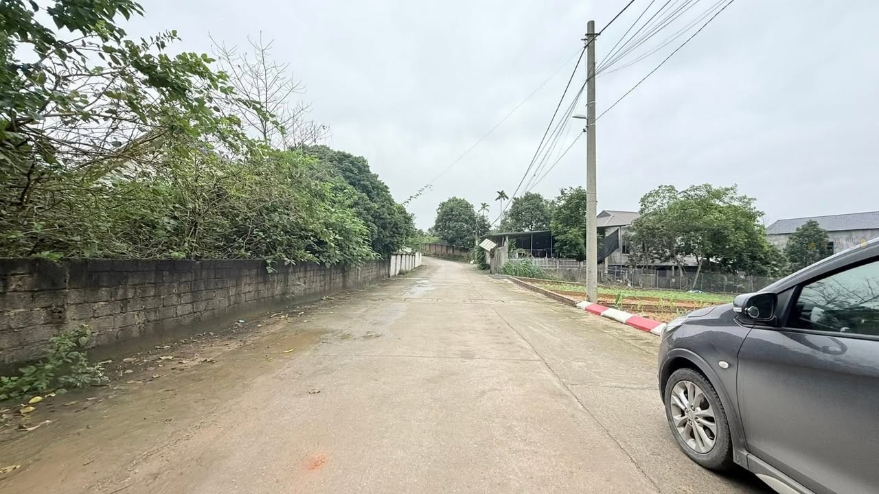 Đất thổ cư 132m² và 200m² tại Cẩm Lĩnh - Giá từ 1 tỷ, đầu tư sinh lời!