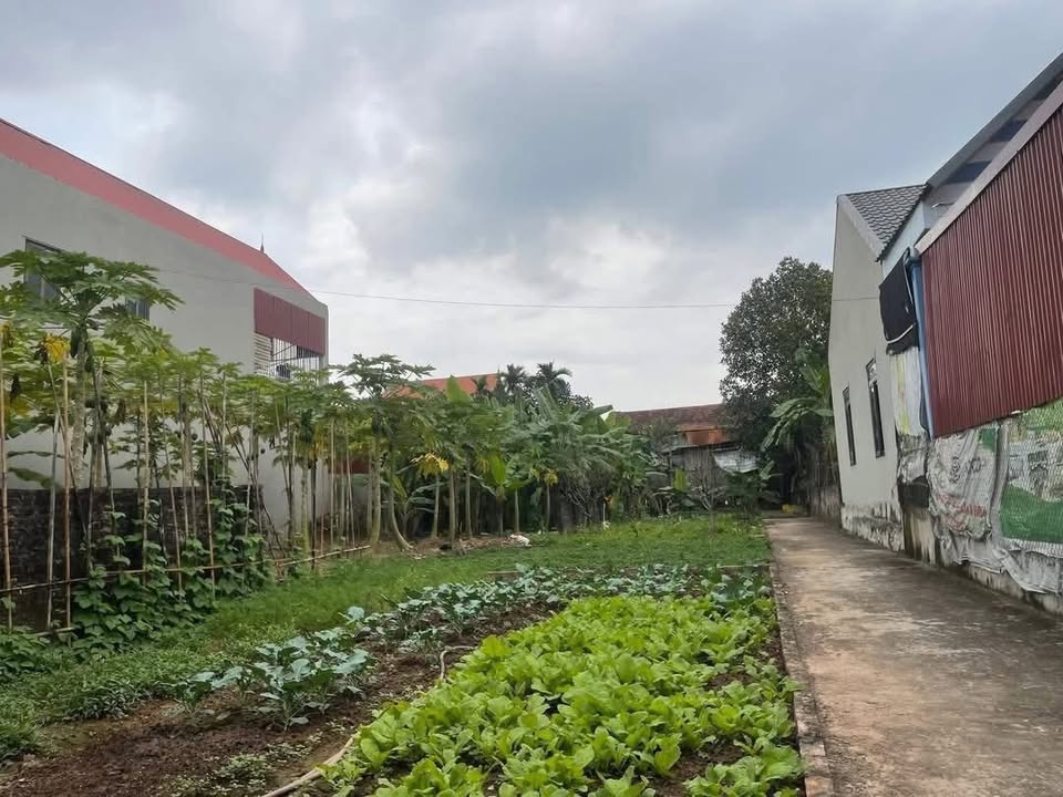 Đất Vân Phúc, Huyện Phúc Thọ 41m² giá nhỉnh tỷ - Cơ hội đầu tư không thể bỏ lỡ!