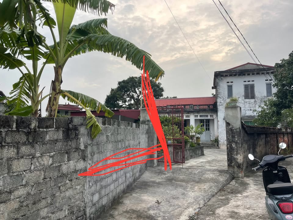 Đất thổ cư 161.8m² tại Tống Phan, Phù Cừ - Giá chỉ 1.456 tỷ!