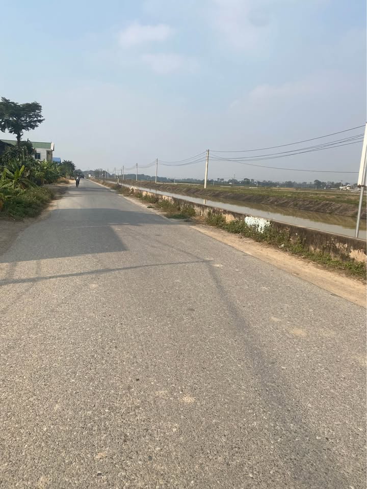 Đất liền kề MB2419, Thiệu Hóa, 320m² - Vị trí đắc địa cạnh KCN Ngọc Vũ!