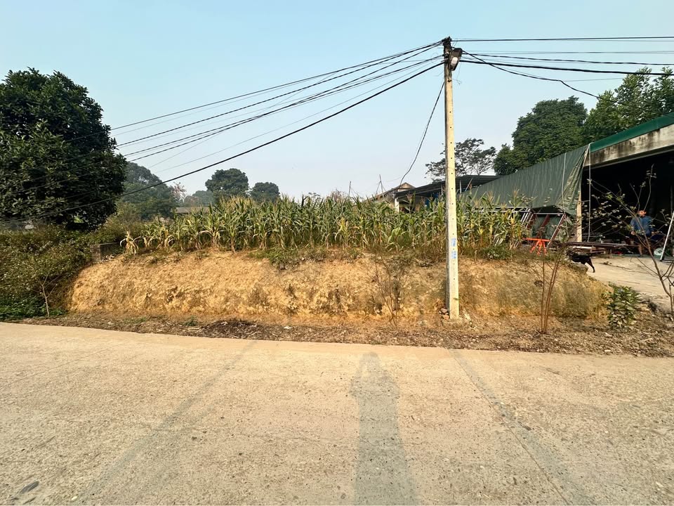 Đất nền Xã Phú Lộc 600m² giá 1 tỷ - Đầu tư tiềm năng ngay gần KCN