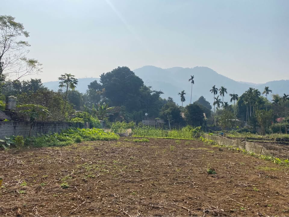 Đất nền 558m² tại xã Lương Sơn, Phú Thọ - Cơ hội đầu tư hấp dẫn!