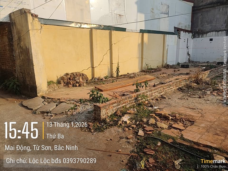 Đất nền 50m² tại Mai Động, Từ Sơn, Bắc Ninh - Giá chỉ 1.x tỷ, cơ hội đầu tư tuyệt vời!