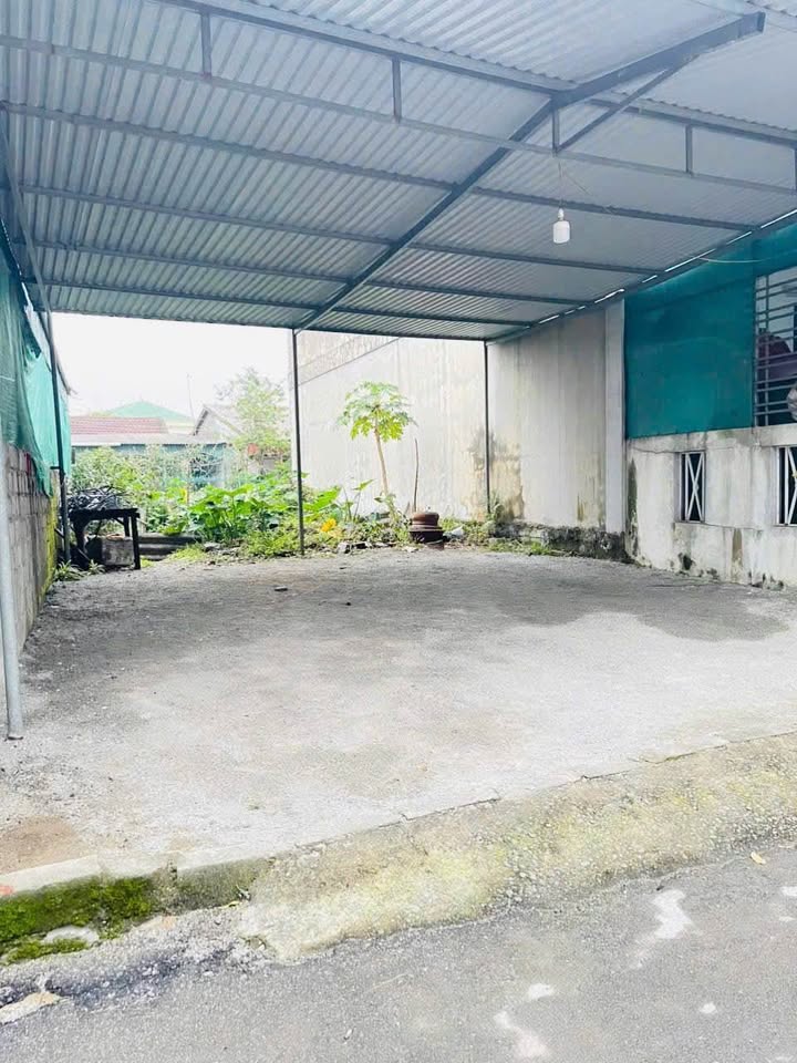 Đất nền Cẩm Xuyên 124m² - Đầu tư hấp dẫn ngay trung tâm!