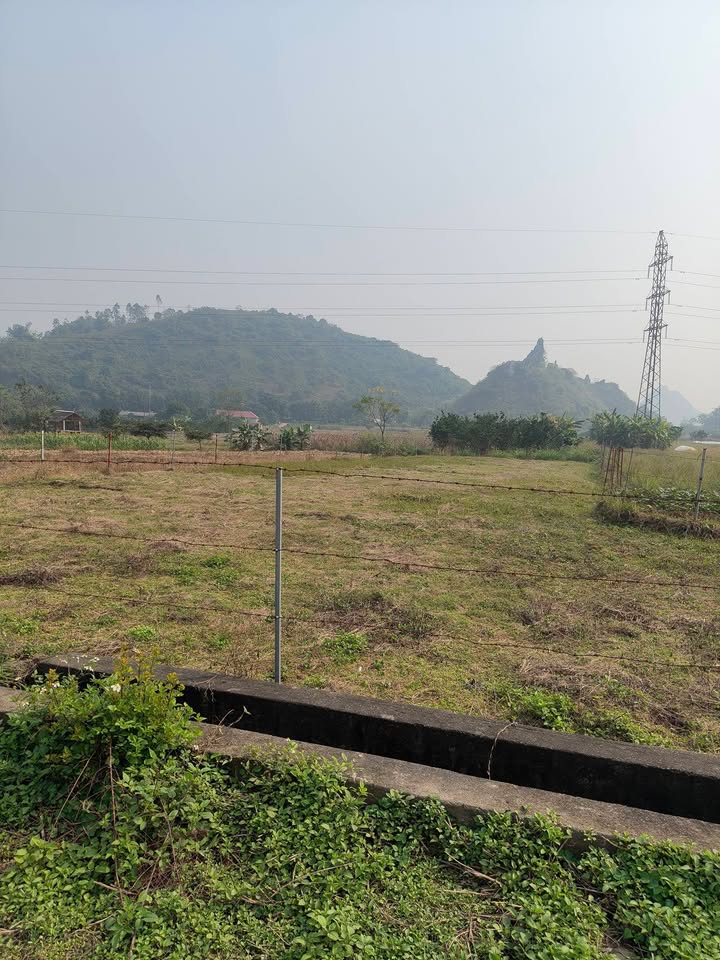 Đất nông nghiệp 700m² tại xã Liên Sơn, giá chỉ 300 triệu - Cơ hội đầu tư hấp dẫn!