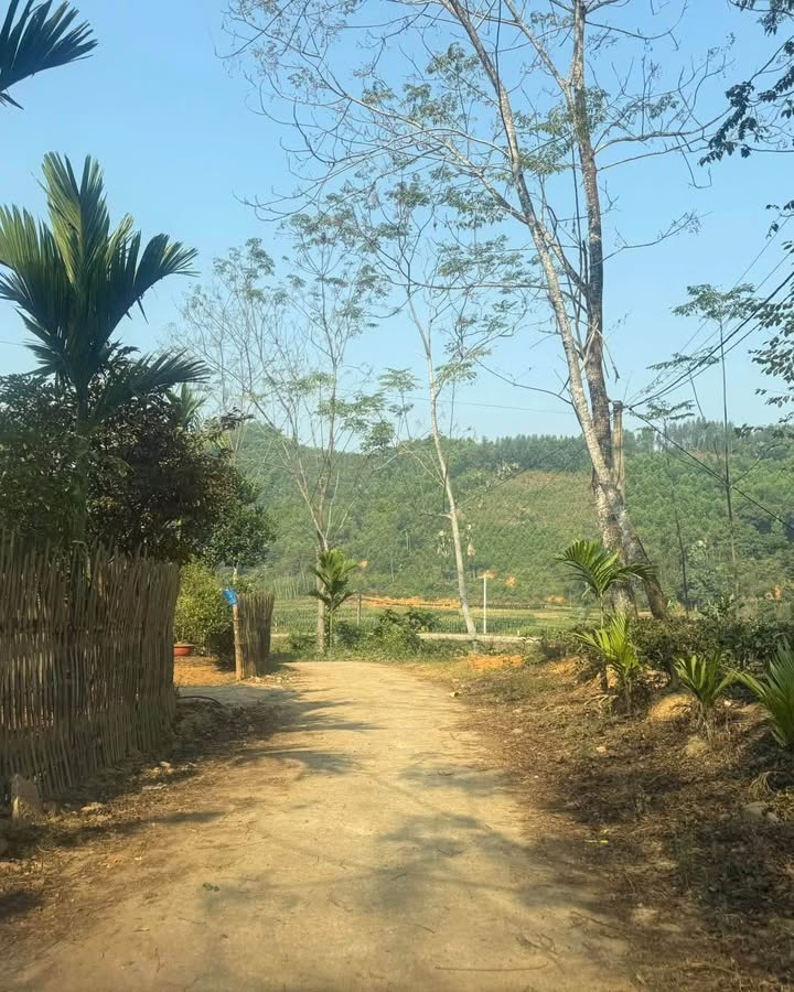 Đất vườn rộng 4000m² + Nhà cấp 4 tại Hợp Thành, Phú Lương chỉ 1 tỷ - Cơ hội đầu tư tốt!