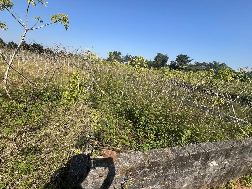 Đất nền Lỗ Gạch, Bình Yên, Thạch Thất 90m² chỉ 1.4 tỷ - Cơ hội đầu tư hấp dẫn!