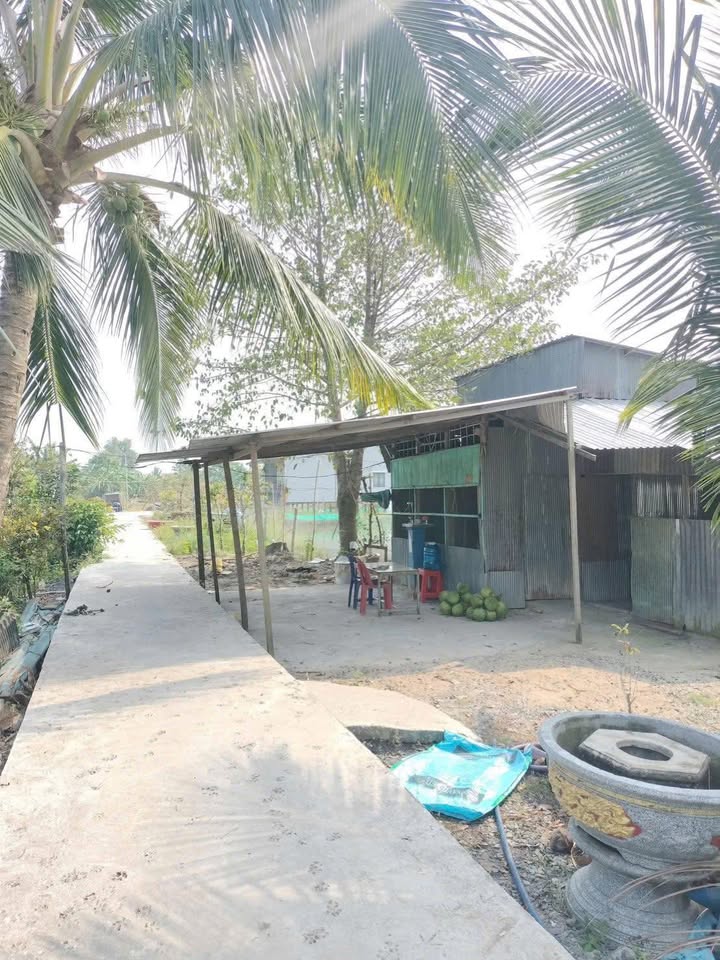 Đất nền Khu vực số 7, xã Thạnh Mỹ, 210m² giá 450 triệu - Pháp lý rõ ràng, sẵn sàng sang tên ngay!