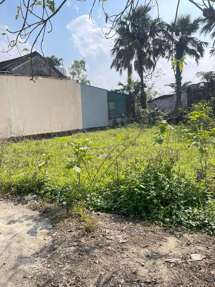 Đất nền Phường Hà Huy Tập, TP. Hà Tĩnh 100m² giá 900 triệu - Cơ hội đầu tư hấp dẫn!