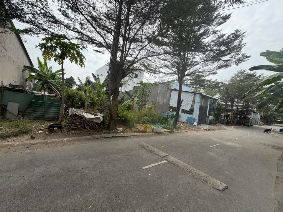 Đất thổ cư 100m² Phường Tân Tạo, Quận Bình Tân - Giá chỉ 1.3 tỷ!