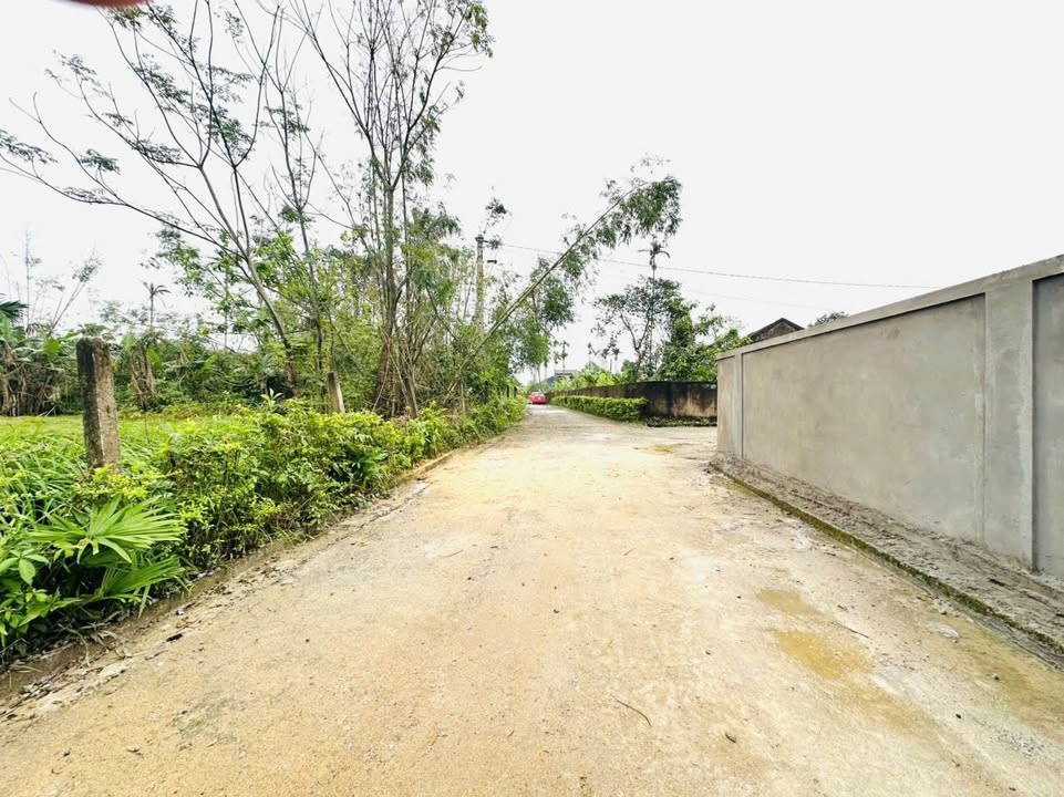 Đất nền Thôn Bắc Thai, Thạch Hội 574m² giá 1 tỷ - Cơ hội đầu tư hấp dẫn!