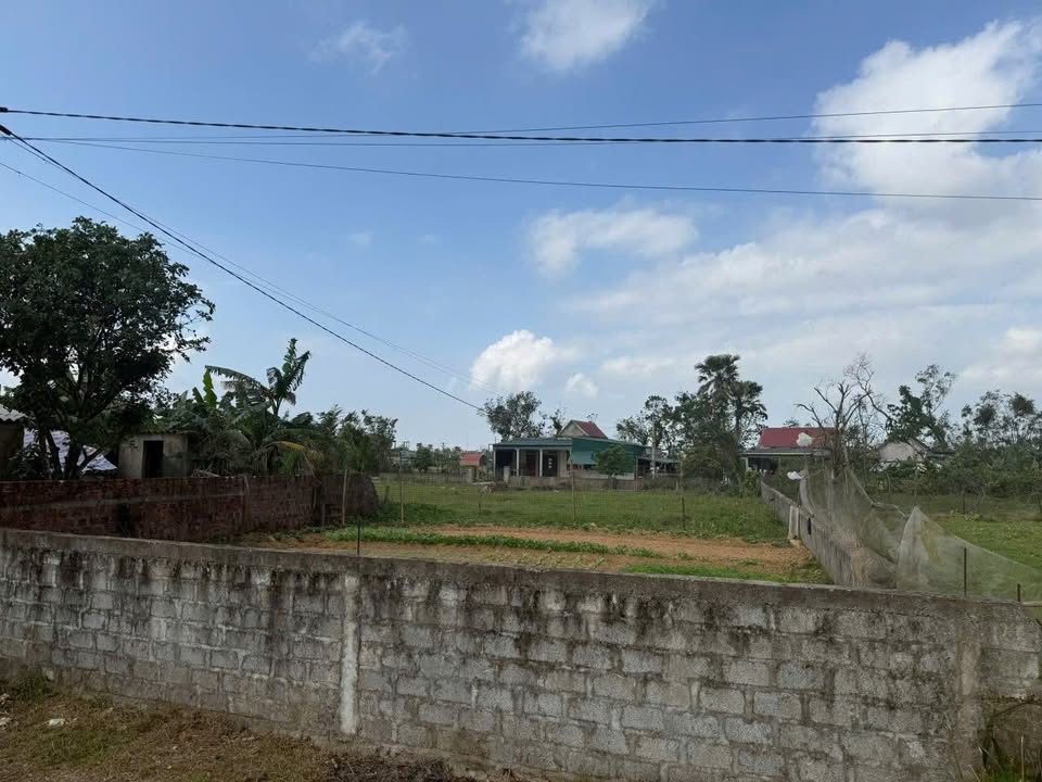 Đất thổ cư Cẩm Lạc 150m² giá chỉ 165 triệu - Cách trường cấp 1 chỉ 300m!