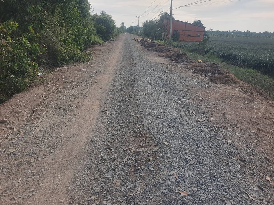 Đất nền Tân Phước 150.000m² giá 33.75 tỷ - Tiềm năng đầu tư hấp dẫn!