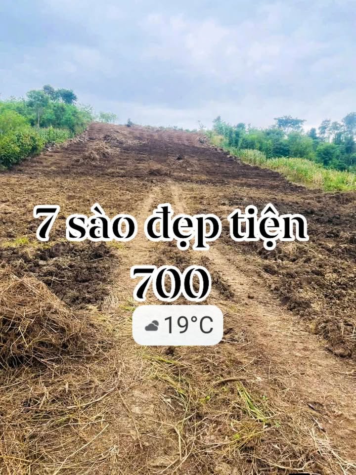 Đất trống 7 sào Nam Xuân Krông Nô 25200m² giá 700 triệu - Cơ hội đầu tư tuyệt vời!