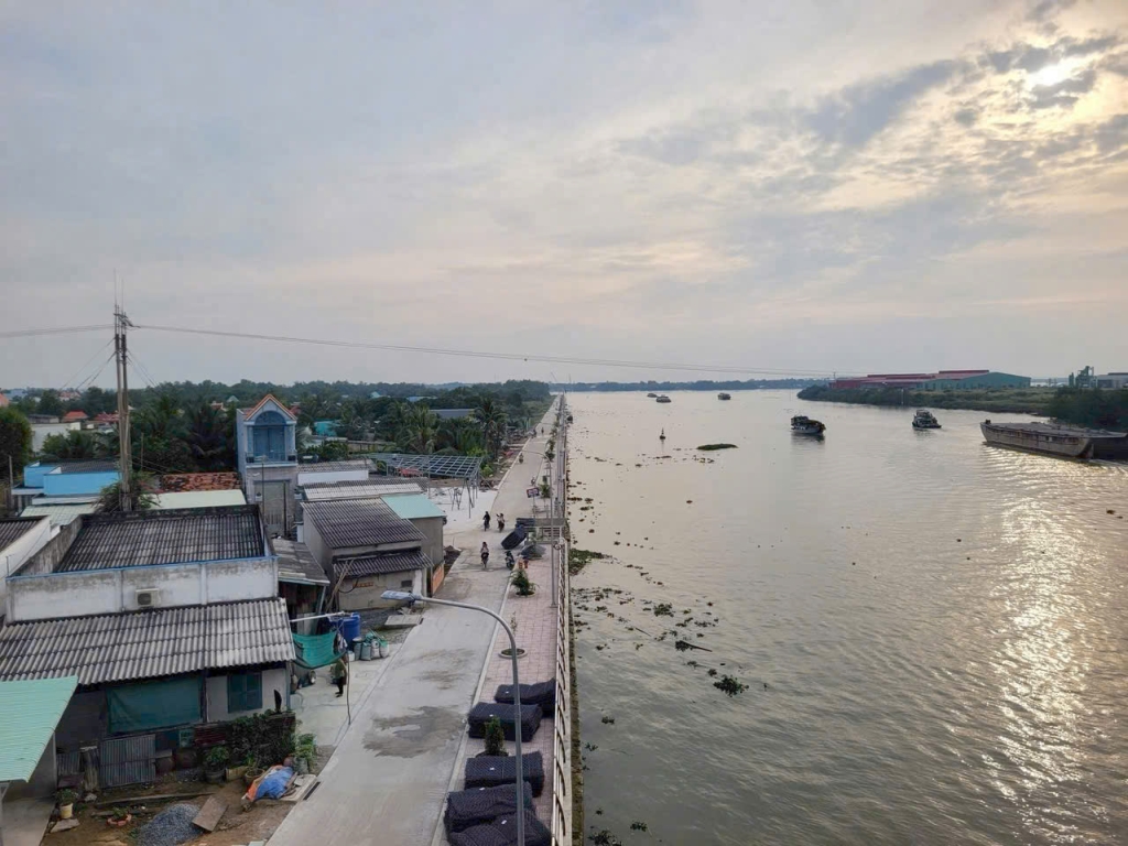 Đất lúa 1000m² Xã Long Hựu Tây giá chỉ 400 triệu - Đầu tư sinh lời ngay!