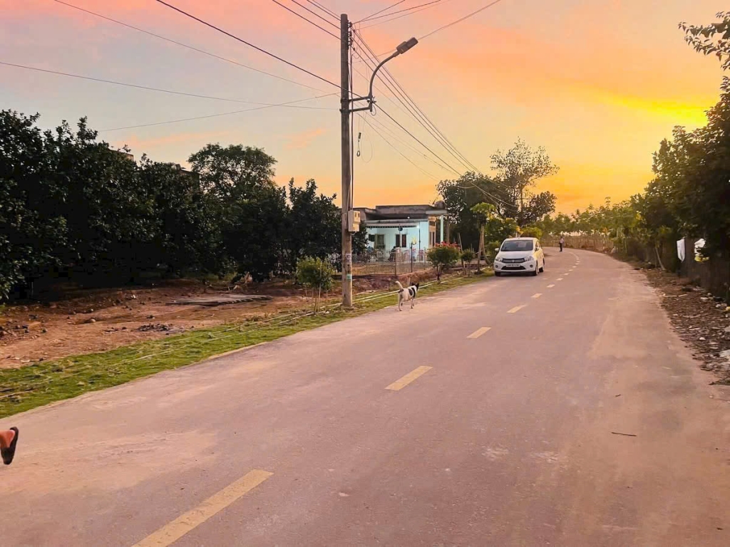 Bán đất thổ cư Trừ Văn Thố, Bàu Bàng 250m² giá 950 triệu - Đầu tư an toàn!