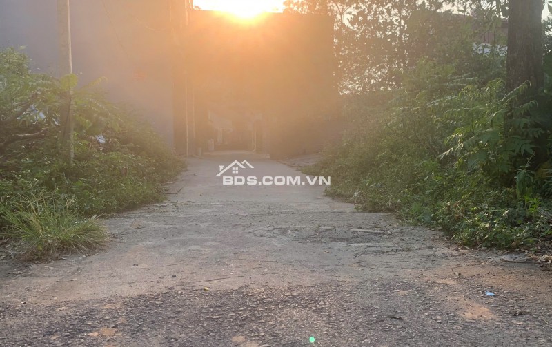 Đất thổ cư Dương Quang, Gia Lâm 97.3m² giá 4.28 tỷ - Bán gấp, vị trí đẹp!