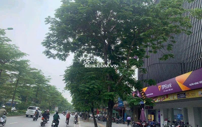 Bán tòa văn phòng mặt phố trung tâm Cầu Giấy- Đống Đa- Ba Đình- Mặt tiền siêu rộng 245m² giá 260 tỷ