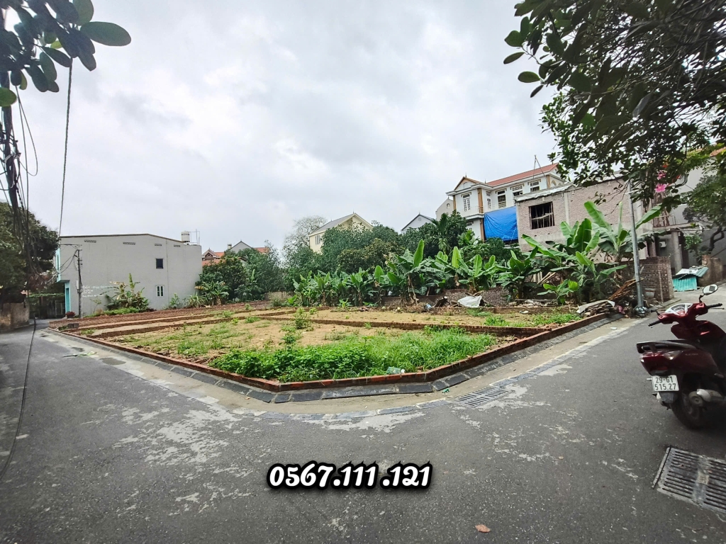 Đất đẹp 80m² Xóm Gà, Cổ Loa - Giá chỉ 5.2 tỷ, Lexus đỗ cửa!