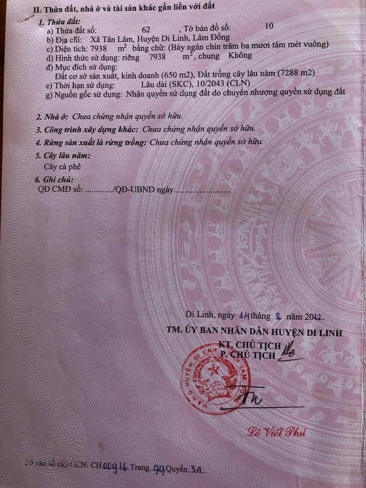 Bán đất mặt 2 mặt tiền QL28, Tân Lâm, Di Linh 13900m² - Tiềm năng kinh doanh lớn!