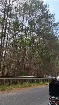 Homestay cho thuê Đường Đống Đa - Đà Lạt 1000m² giá 15 triệu - View triệu đô tuyệt đẹp!