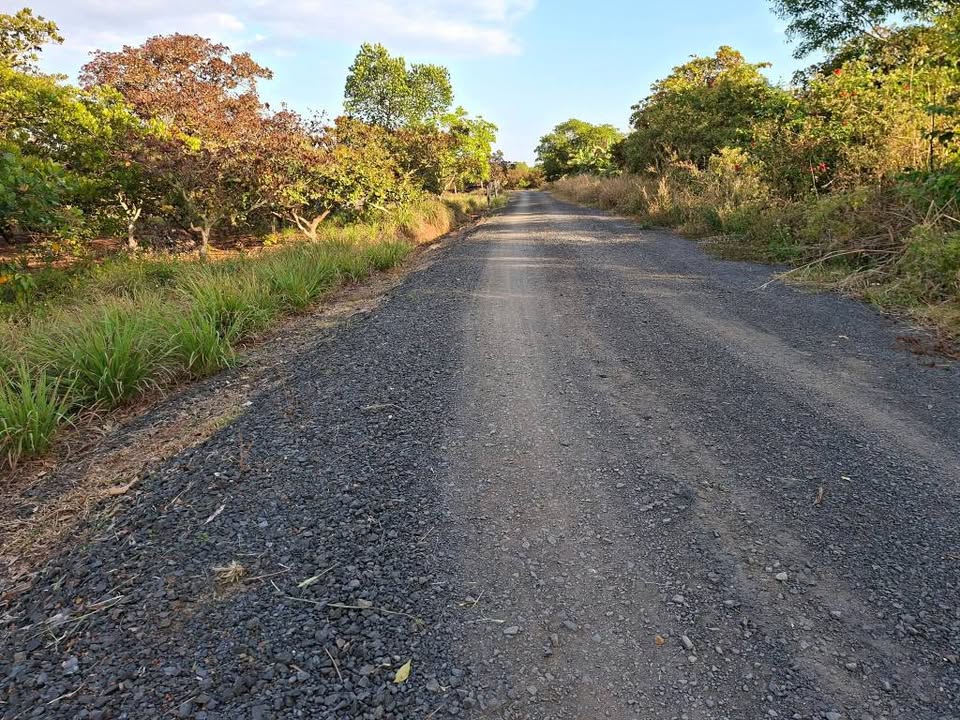 Bán lô đất thôn Ealy, huyện Buôn Đôn, Đắk Lắk 5,8 sào - Đầu tư sinh lời ngay!