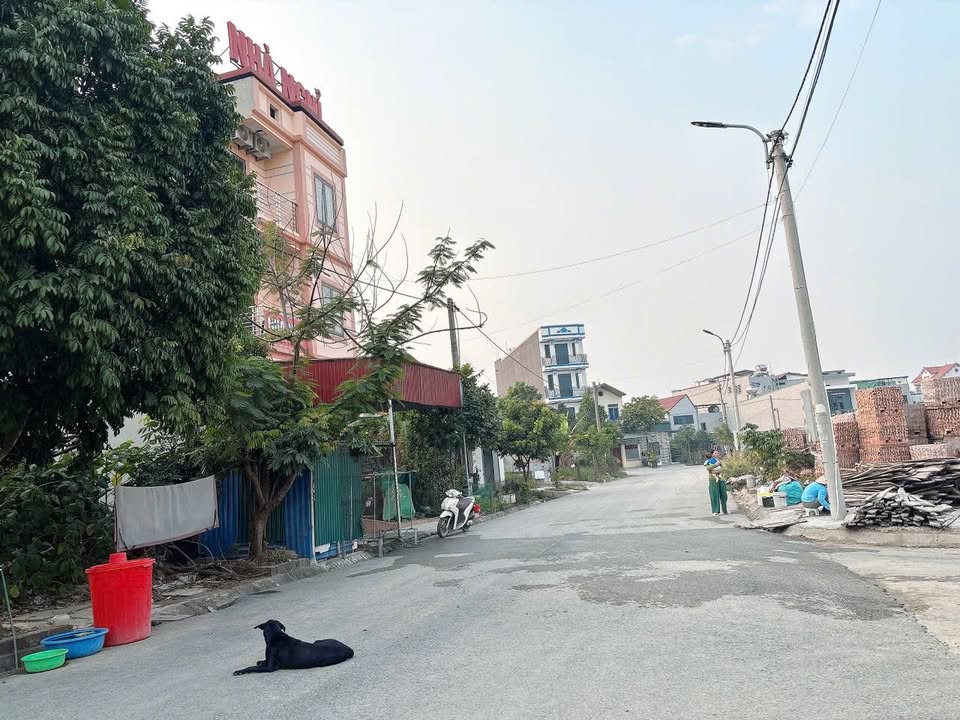 Đất nền Gò Cao, Bình Xuyên 100m² giá 3 tỷ - Kinh doanh sầm uất!