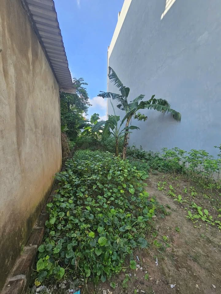 Đất Vạn Phúc Hà Đông 47m² giá 3.9 tỷ - Ô tô vào tận nơi, pháp lý rõ ràng!