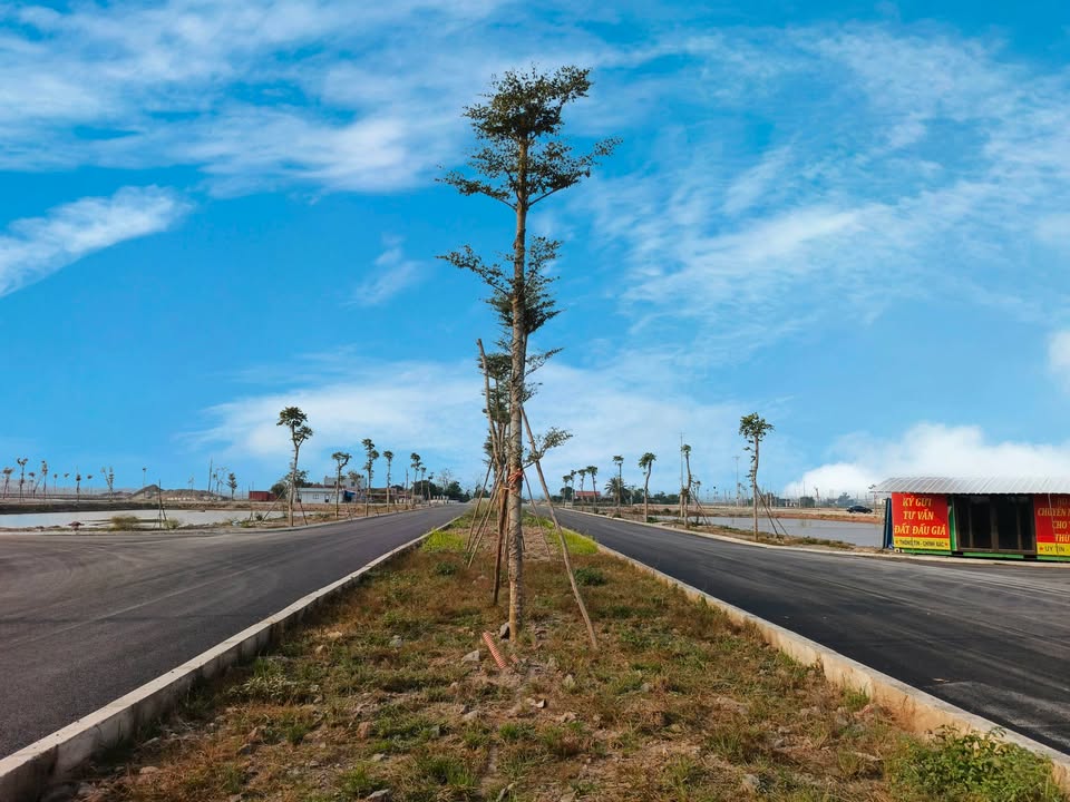 Đất nền Mặt Bằng Lai Thành, Ninh Bình 120m² giá 1.3 tỷ - Đầu tư lý tưởng!