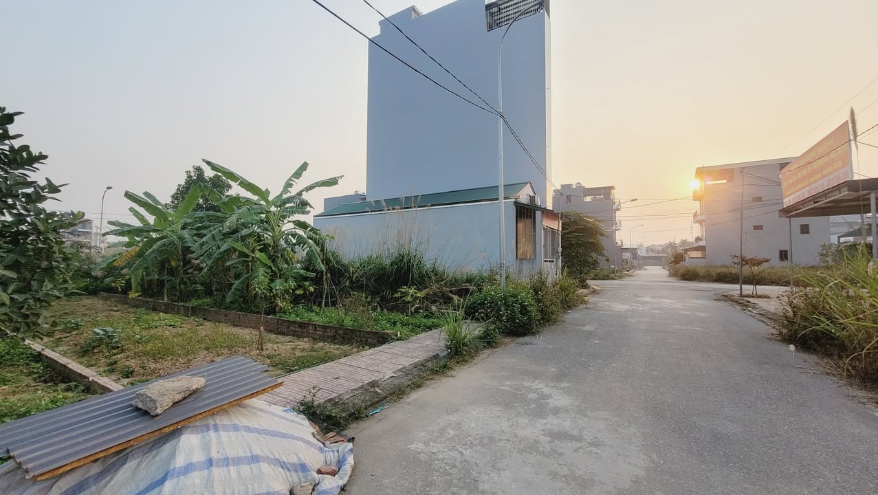 Đất dịch vụ Song Phương, xã Sơn Đồng, 52m² giá 7 tỷ - Cơ hội đầu tư sinh lời!