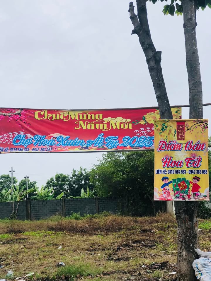 Cho thuê mặt bằng bán bông Tết tại Thị trấn Bình Đại - Giá thỏa thuận hấp dẫn!