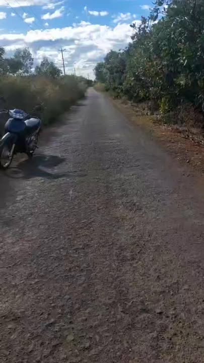 Farm 1ha Thôn 7 Thăng Hưng giá 2.1 tỷ - Đầu tư sinh lời ngay!