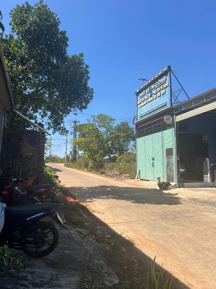 Đất hẻm chính Bùi Dự, Pleiku 100m² giá 2.6 tỷ - Đầu tư sinh lời ngay!