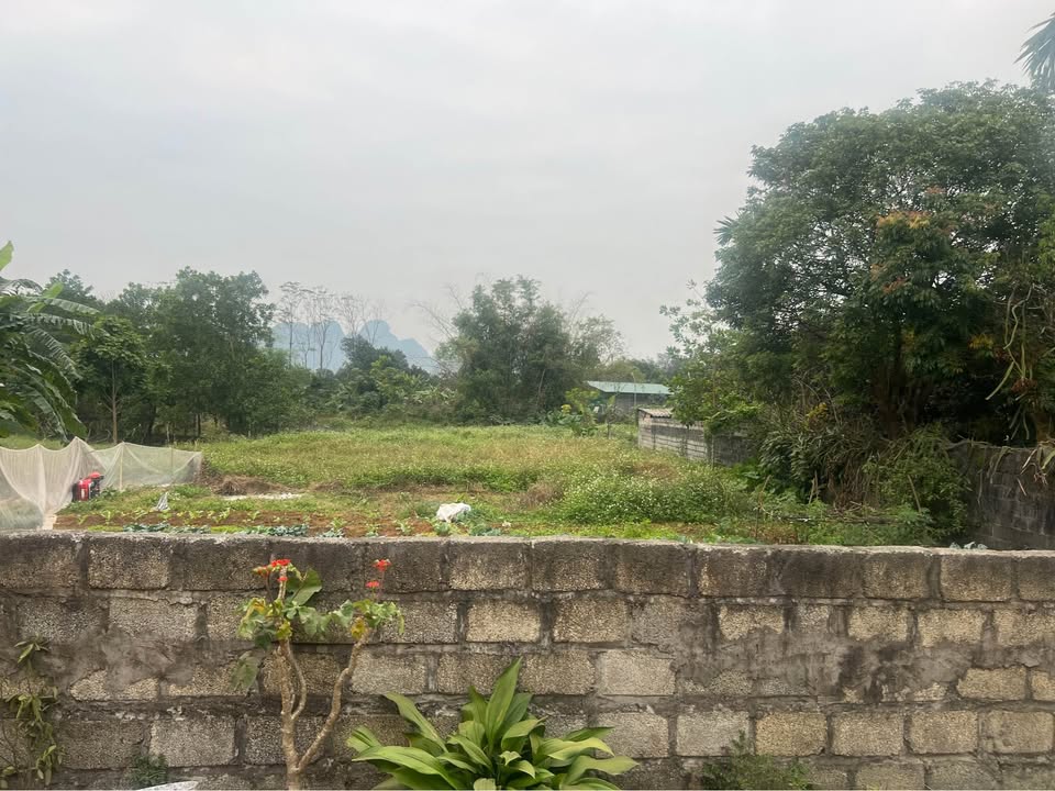 Đất thổ cư 400m² tại Ba Hàng Đồi, Lạc Thủy 1702m² - Tiềm năng đầu tư vượt trội!