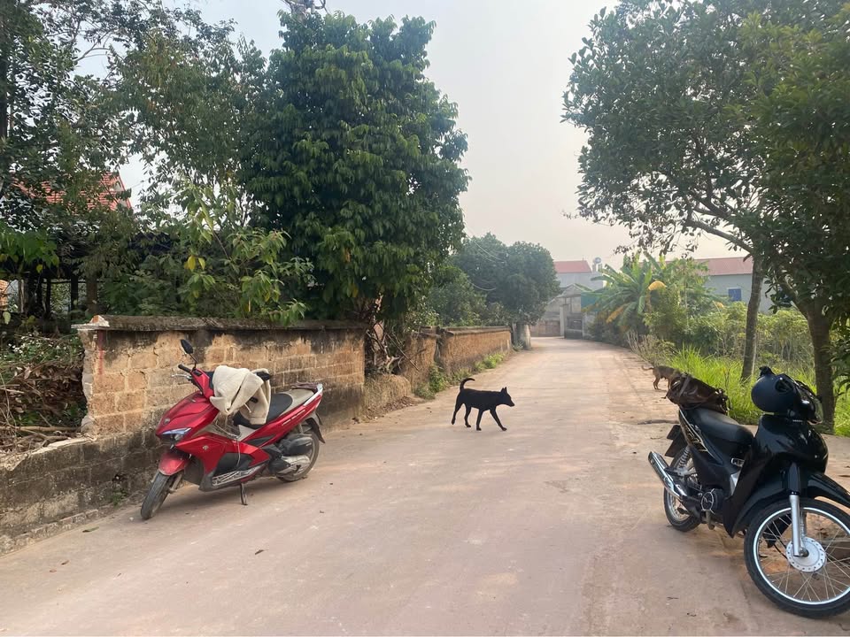 Đất nền Xã Tam Đảo 124.2m² mặt tiền 5m - Cơ hội đầu tư hiếm có!