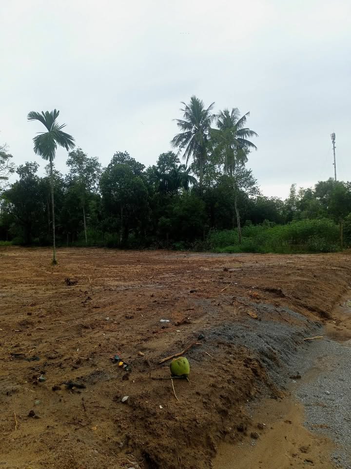 Farm Vườn Nghĩa Kỳ, Tỉnh Quảng Ngãi 900m² giá 480 triệu - Đầu tư lý tưởng!