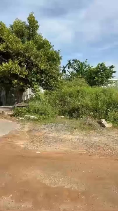 Đất nền khu dân cư Đồng Bà Thơi, Nghĩa Kỳ, 180m² giá 7xx triệu - Cơ hội đầu tư hấp dẫn!