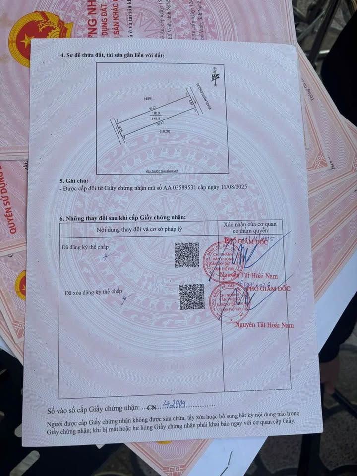 Đất nền mặt đường Nhân Nghĩa, xóm 11, Nghi Kim 148.8m² giá 4.5 tỷ - Đầu tư sinh lời ngay!