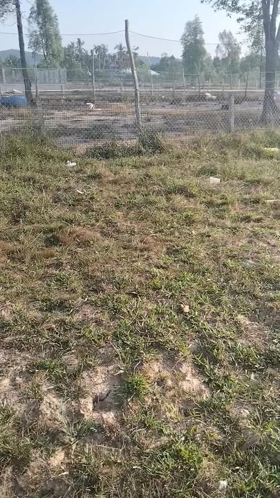 Đất nền Hòn Đất Kiên Giang 1003m² giá chỉ 4 tỷ - Đường ô tô vào tận nơi!