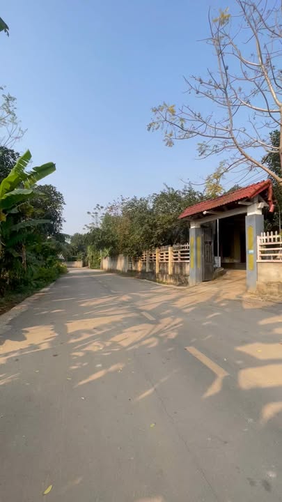 Đất ở 170,5m² tại Thị trấn Triệu Sơn - Giá chỉ từ 9xx triệu, sổ đỏ chính chủ!