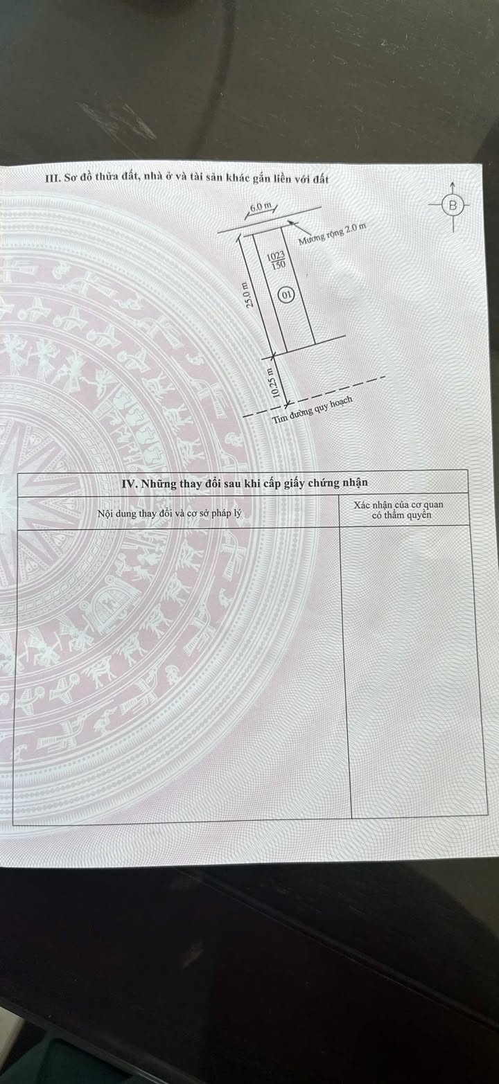 Đất ở thôn Ninh Dụ, xã Quảng Ninh 150m² giá 800 triệu - Đường ô tô tải, gần quốc lộ 1A!